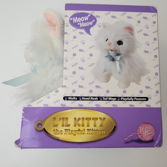 Lil kitty playful cat - Picture 3 of 7